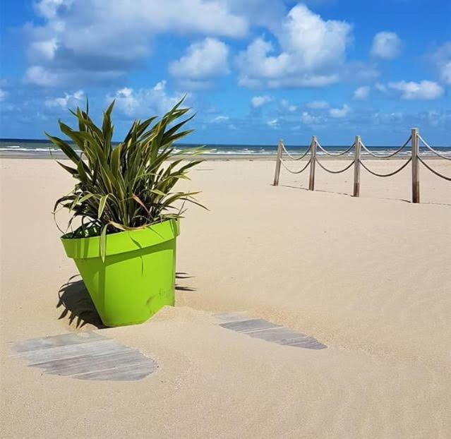 Lesparisnormands - Magnifique Vue Mer - Centre Et Plage فيلي سور مير المظهر الخارجي الصورة